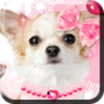 me and my puppy android application logo